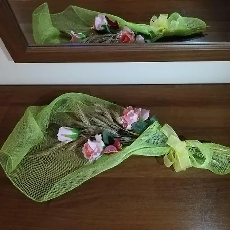 Apartment Ginger's House Malpensa *